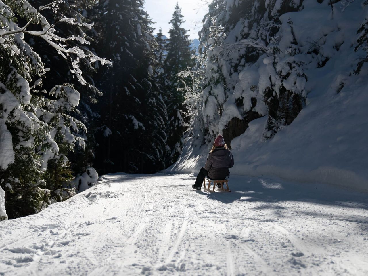 Schlitteln geführte Tour ab Interlaken