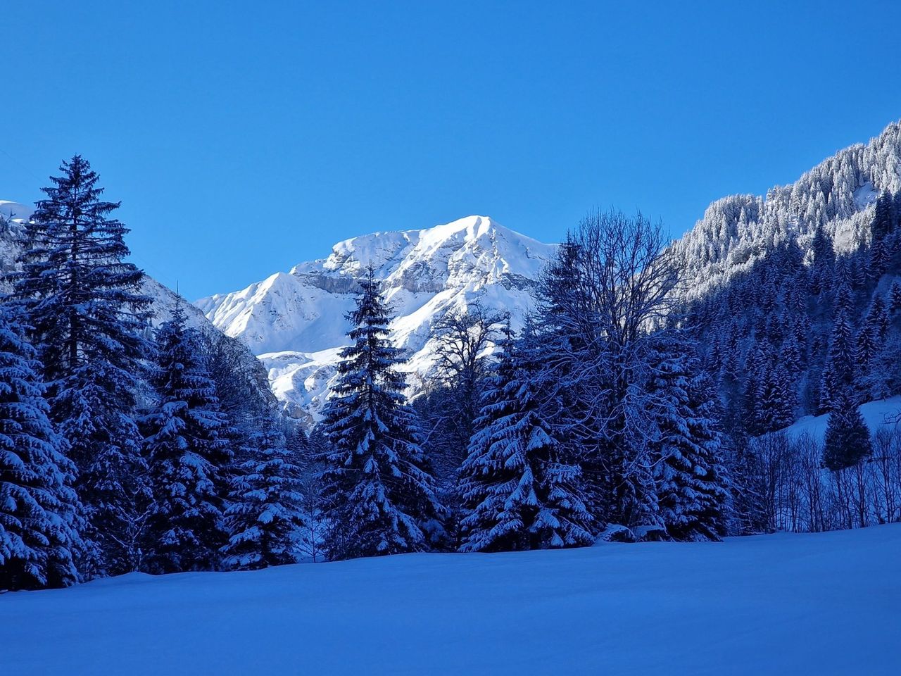 Winter nature adventure in the Weisstannental