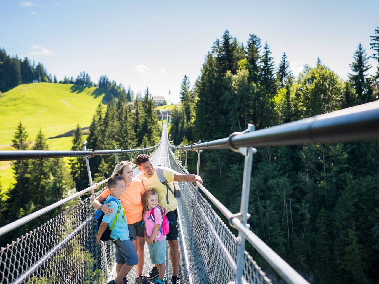 Ticket Drehgondelbahn Sattel-Mostelberg