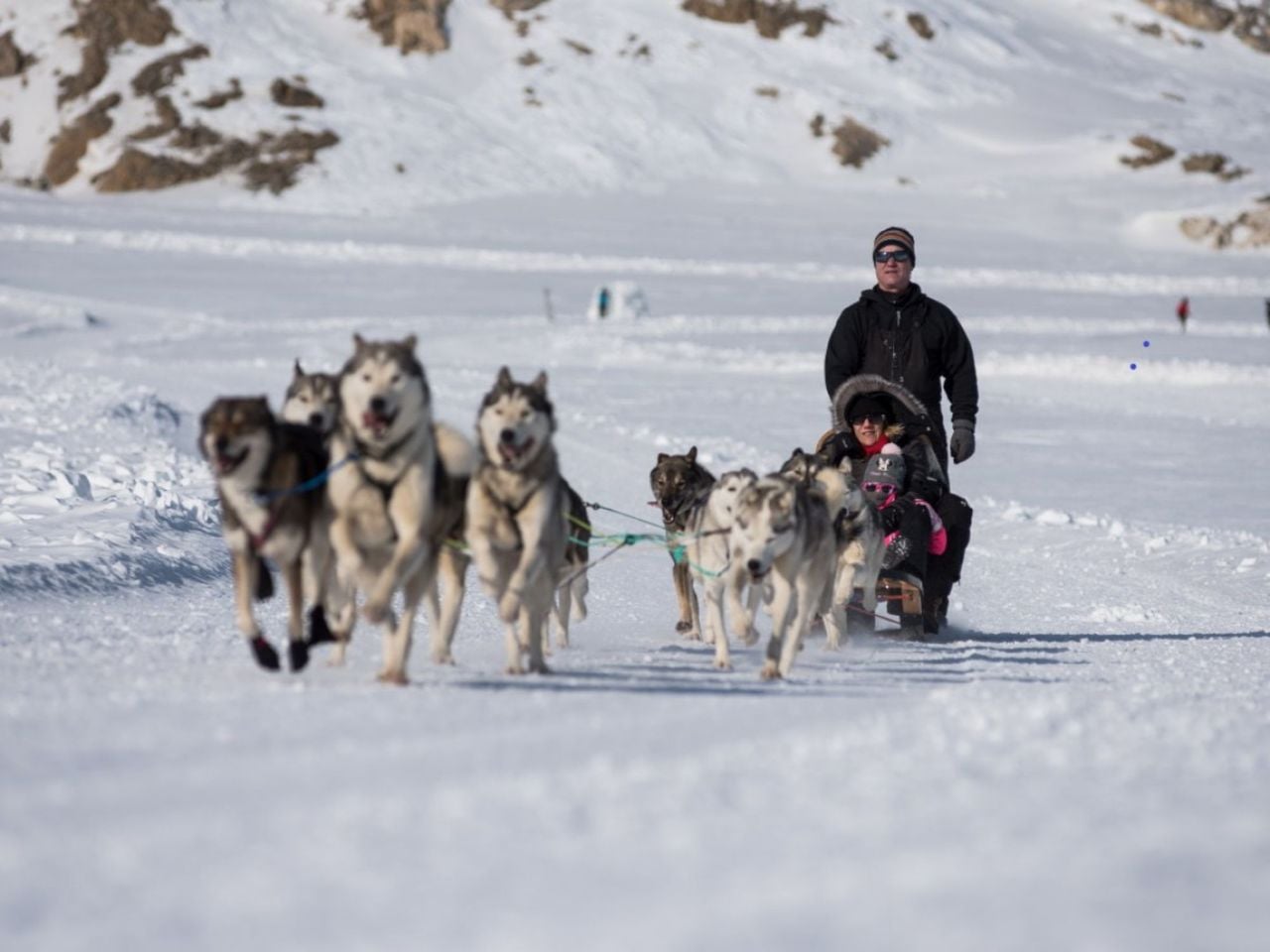 Nordic Adventure with Sled Dogs on the Plaine Morte Glacier