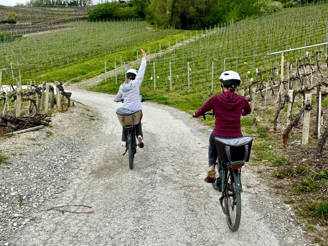 Selbstgeführte E-Bike Tour am Weinberg inkl. Menü ab Sion