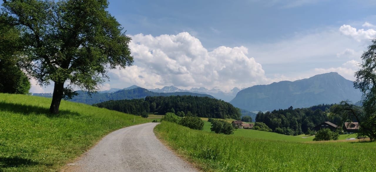 Private panoramic hike on the Horw Peninsula from Lucerne