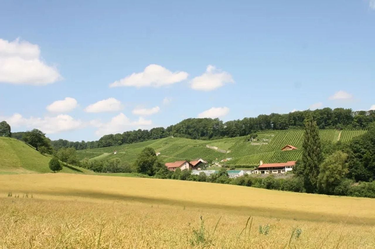 Aesch