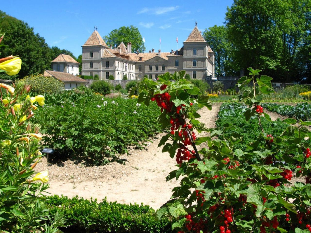 Ticket Château de Prangins