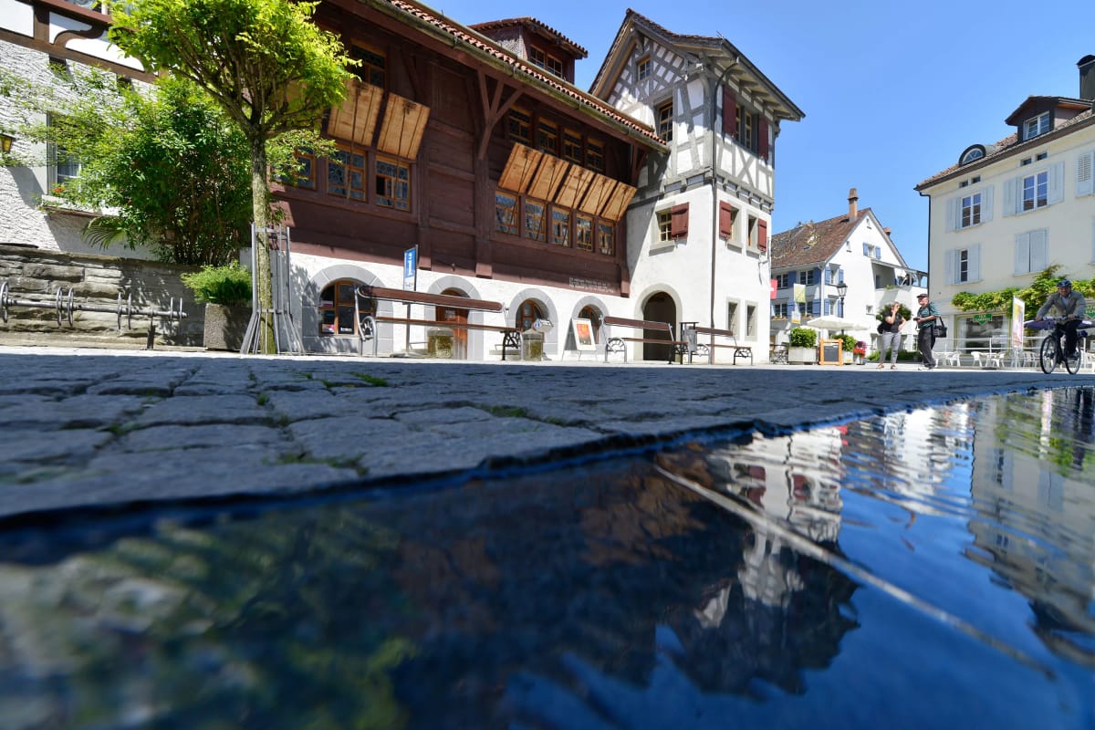 Arbon