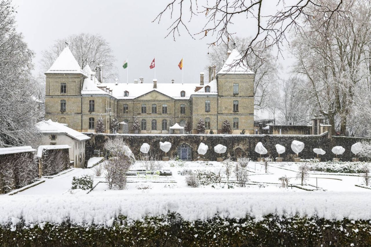 Ticket Château de Prangins