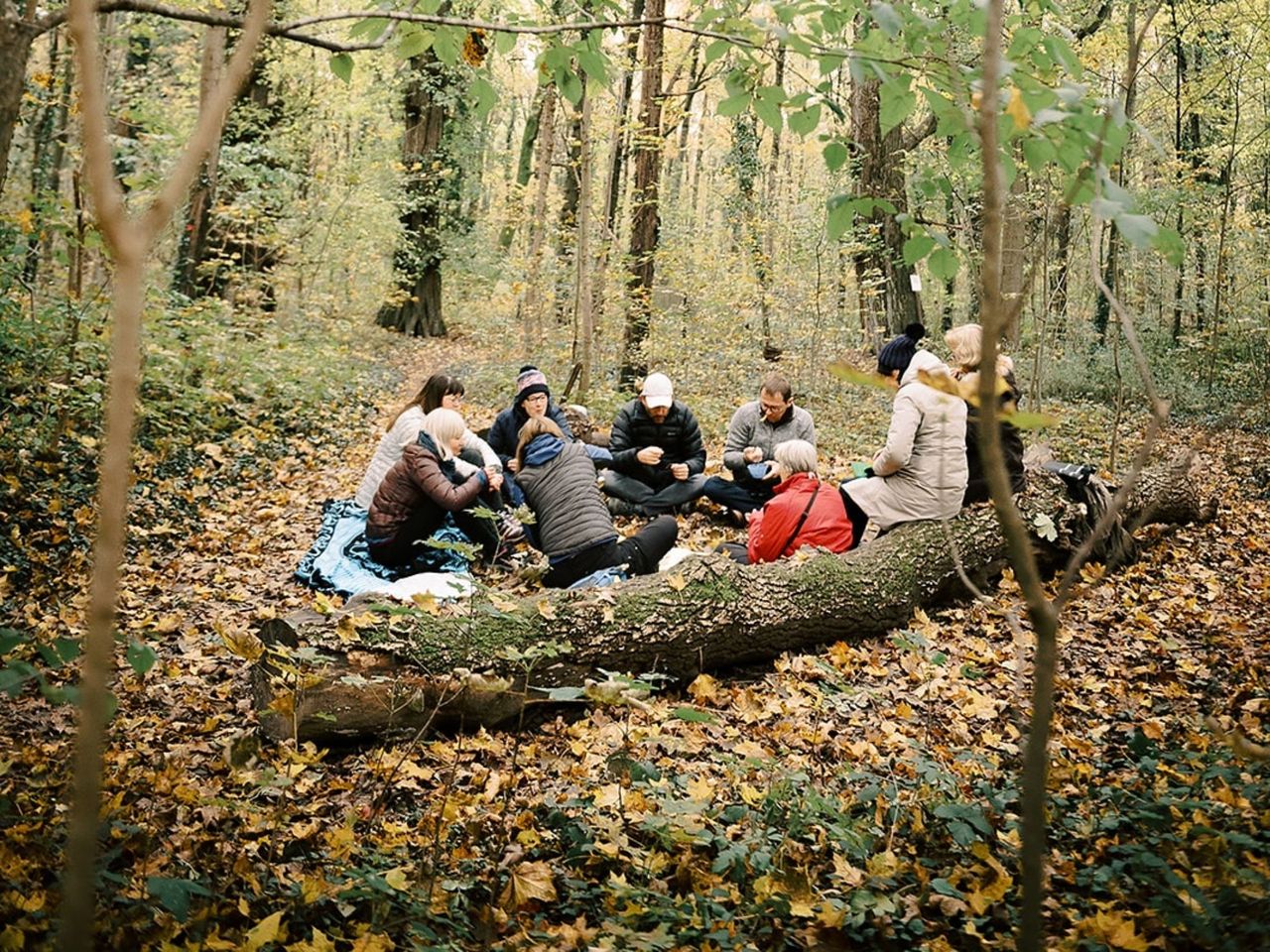 Waldbaden (Shinrin Yoku) ab Zug