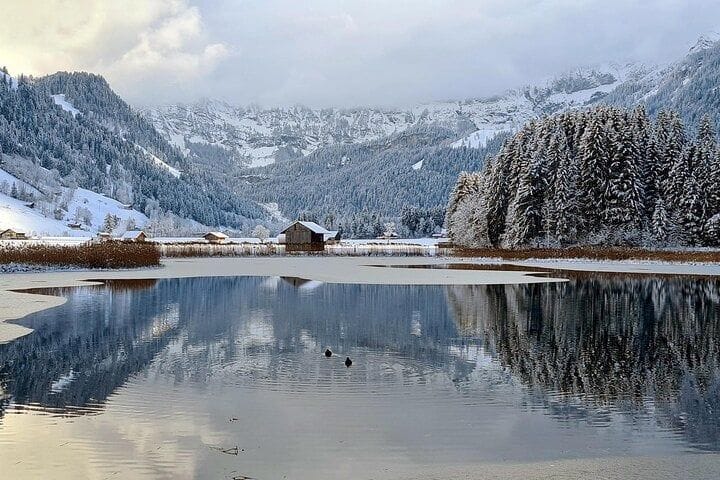 Ab Zürich: Privater Wintertagesausflug nach Grindelwald First