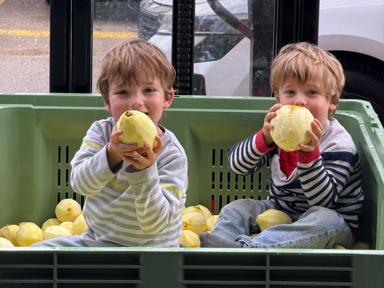 Öffentlicher Limoncello Kurs in Le Mont-sur-Lausanne