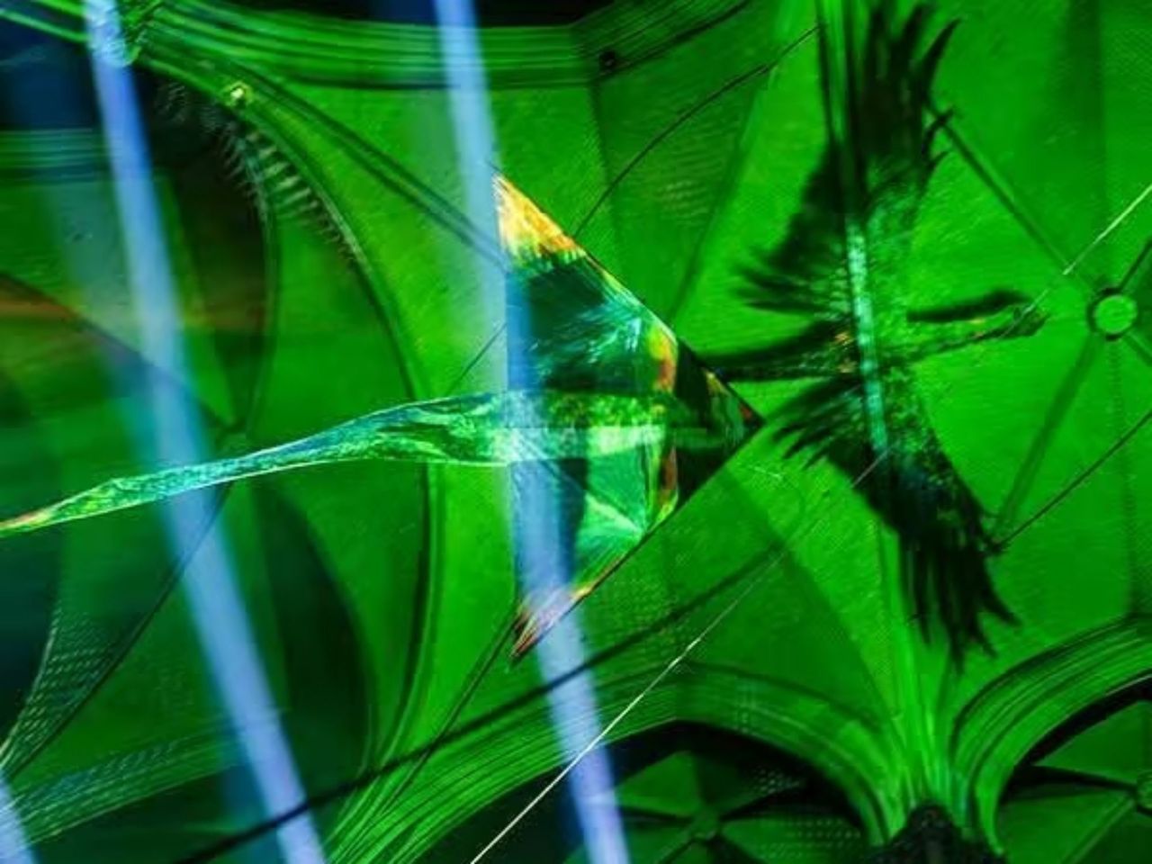 "Die vergessene Legende von Basel" immersive Show