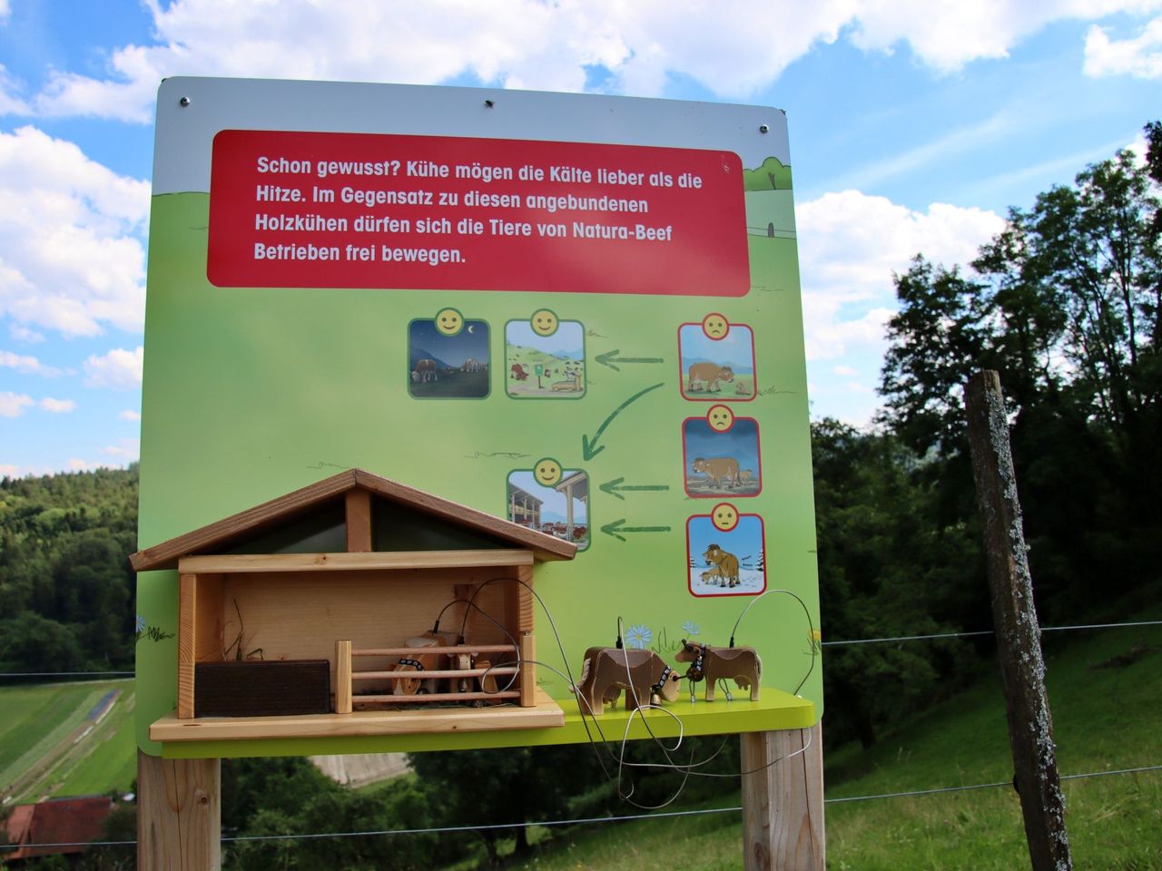 Erlebnisweg “Lea und Ben bei den Mutterkühen” in Luthern Bad