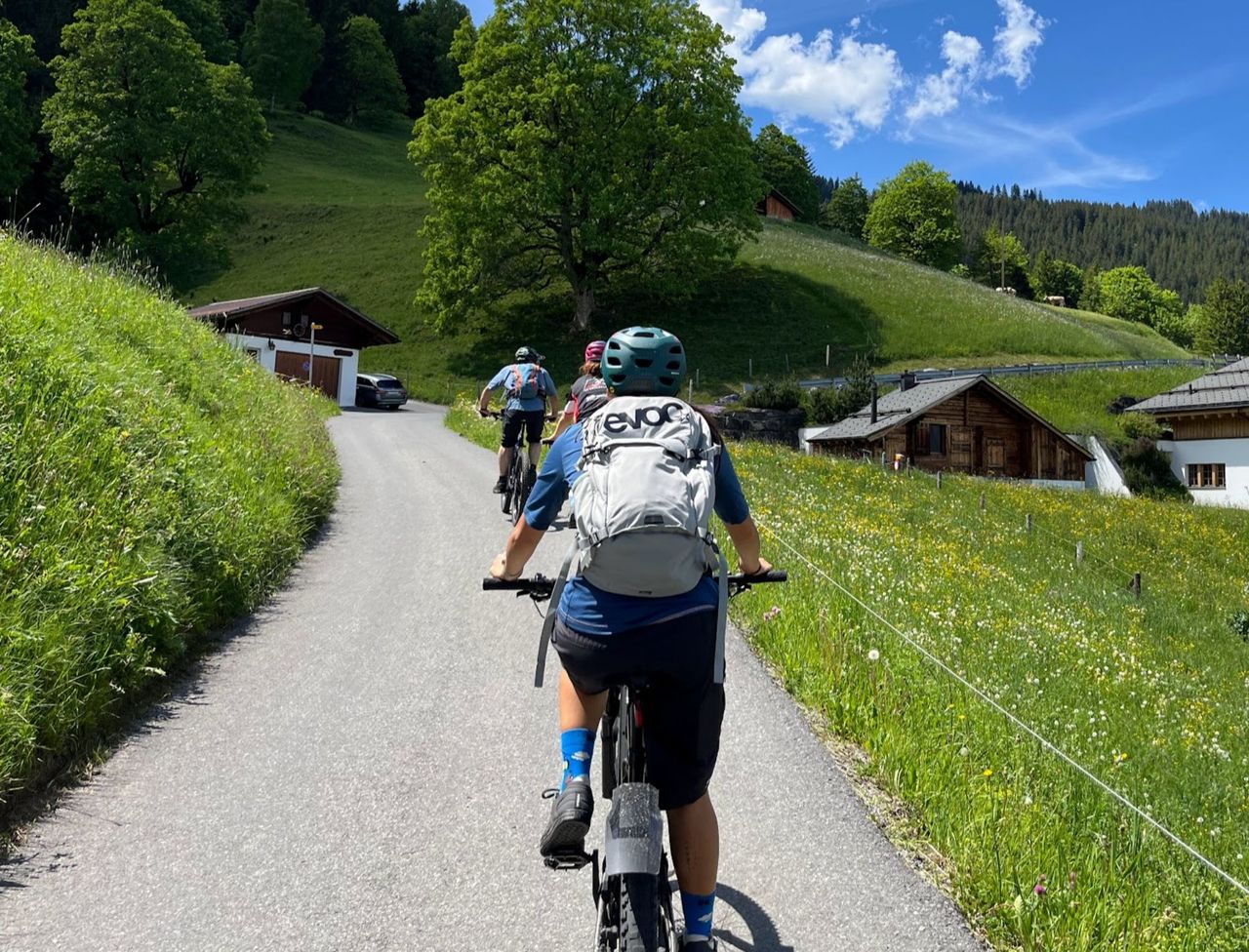 Private E-Bike Tour von Grindelwald nach Lauterbrunnen