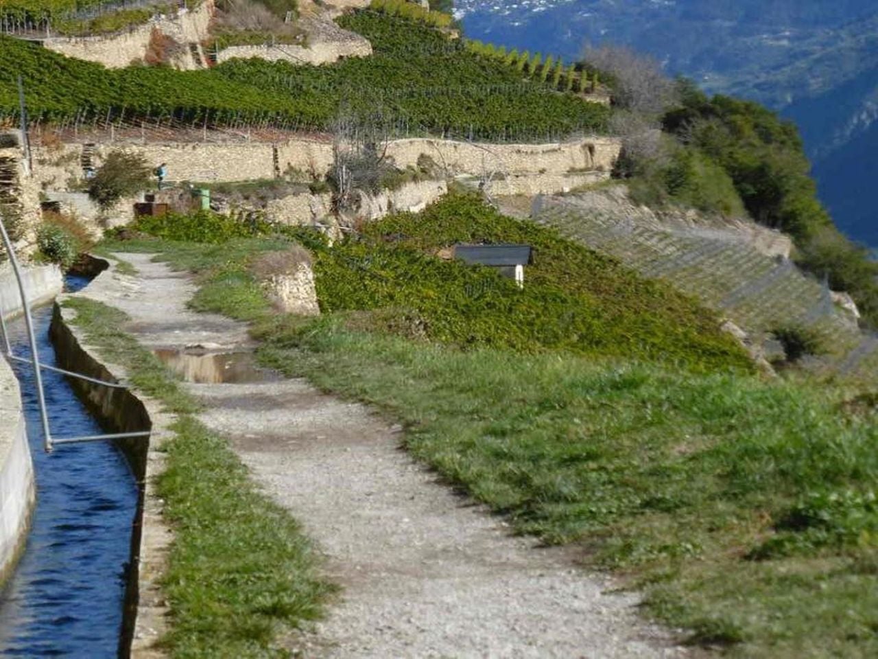Spaziergang durch die Weinberge mit Degustation in Crans Montana 