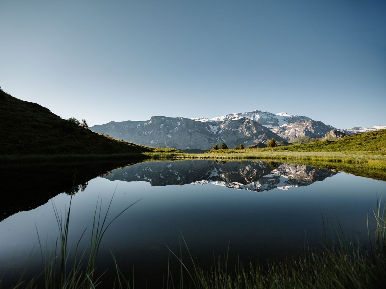 Ticket für den Blumenweg am VogellisiBerg in Adelboden