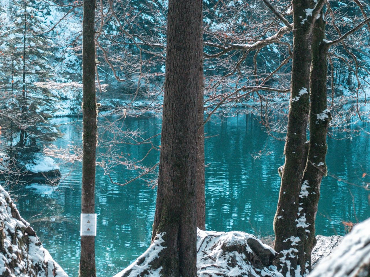 Ab Zürich: Blausee und Interlaken privater Tagesausflug