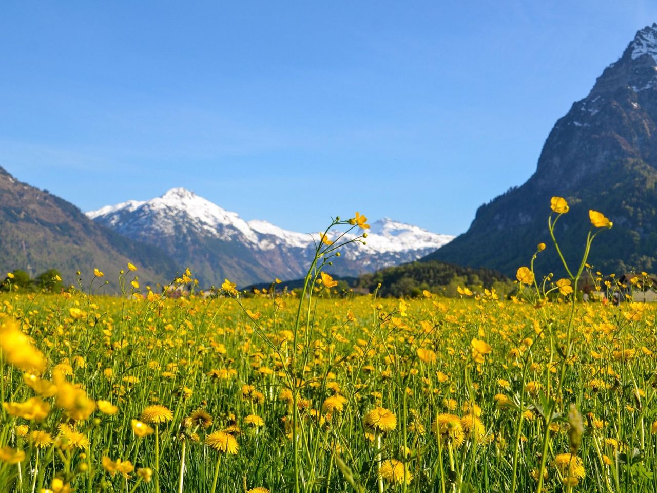 "Catch the Agent" GPS Game in Glarus for Team Events