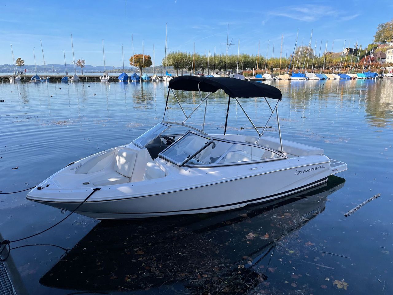 Sortie privée en bateau sur le lac de Zurich avec skipper et sports nautiques au départ de Rapperswil