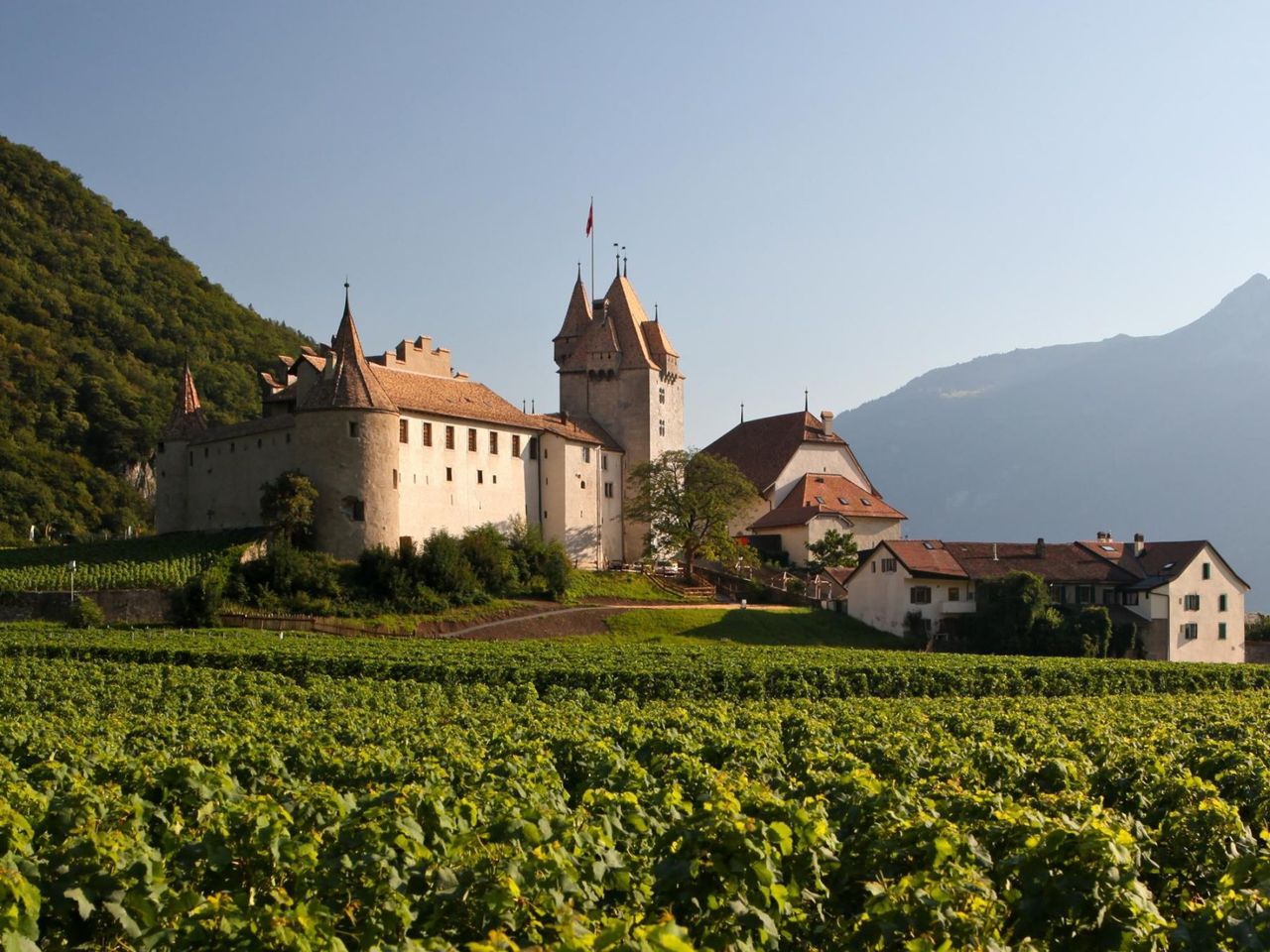 Weinwanderung Weinberge des Chablais für private Gruppen