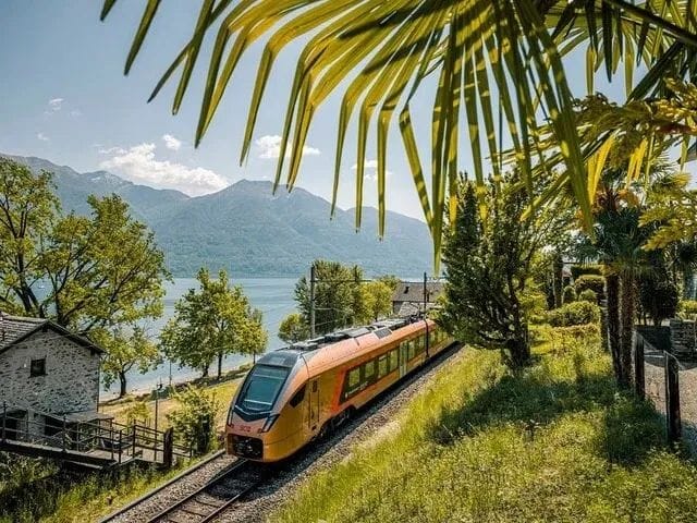 Ab Zürich: Alpenzug ins Tessin mit Burgen, Steindorf, See und regionaler Küche