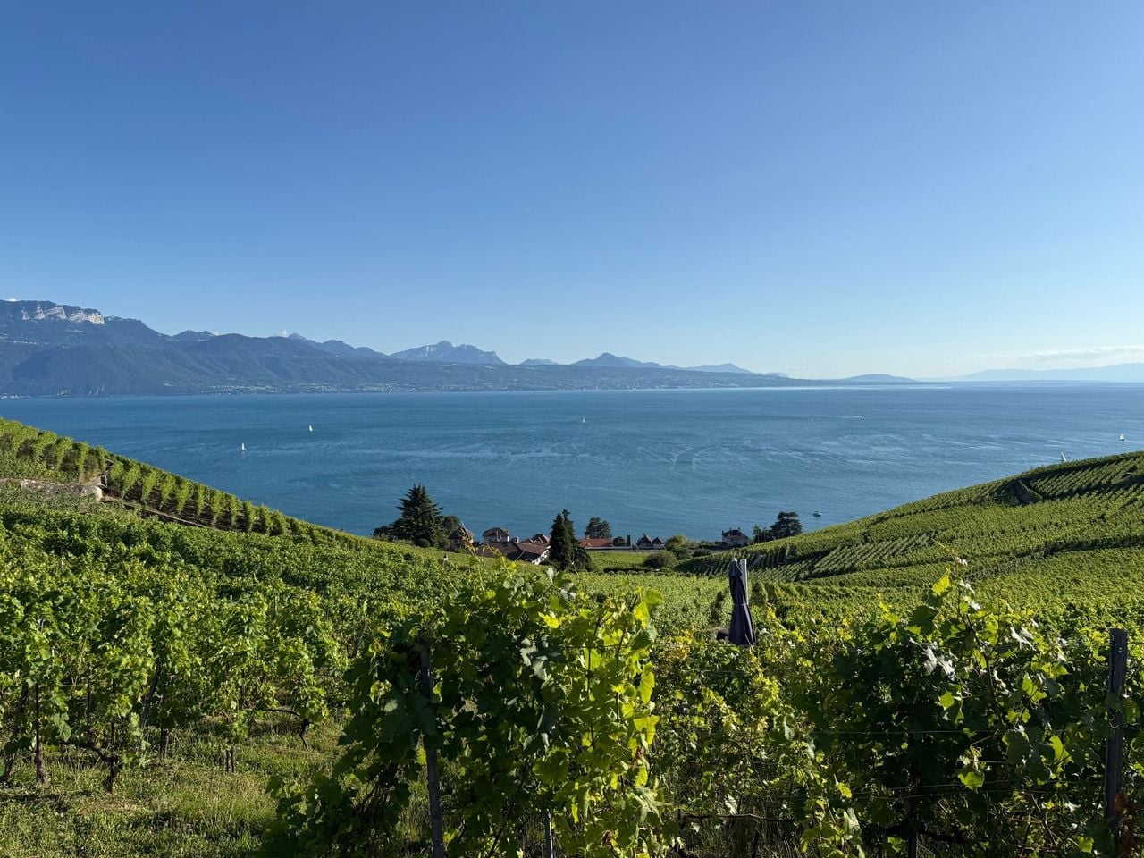 Private Weinwanderung in Lavaux ab Lausanne