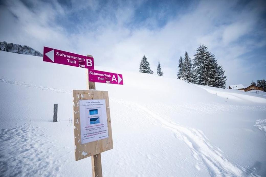 Schneeschuhwandern inkl. Ticket Seilbahn und Käsefondue ab Flums