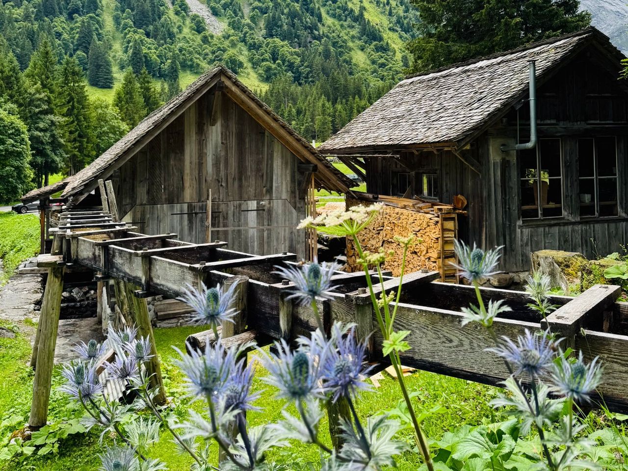 "Rosenlaui Tal" - E-Bike-Tour ab Interlaken