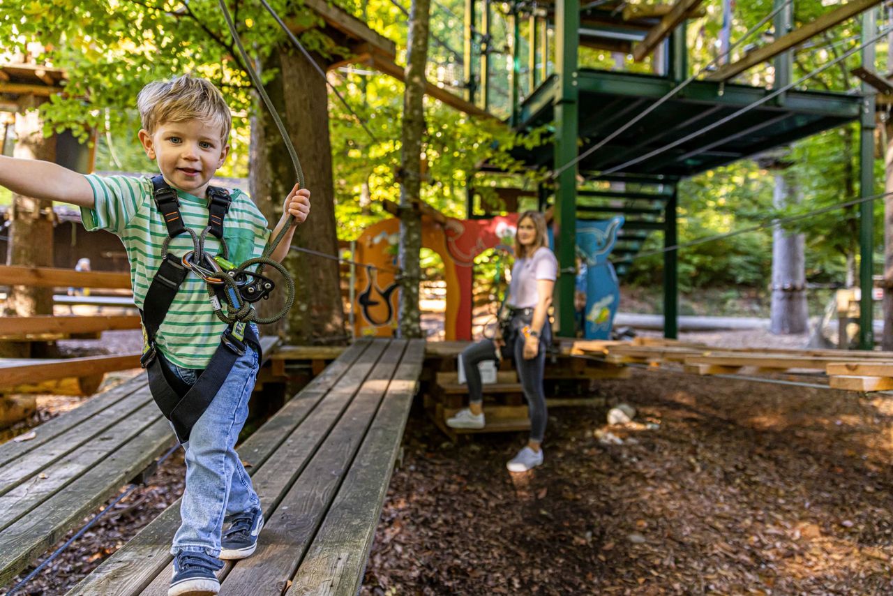 Ticket Seilpark Interlaken Outdoor mit 14 Adventure-Parcours
