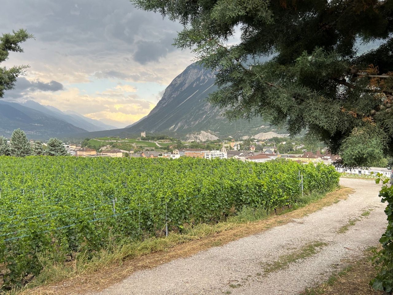 Ab Sion Flughafen: Transfer im Minibus