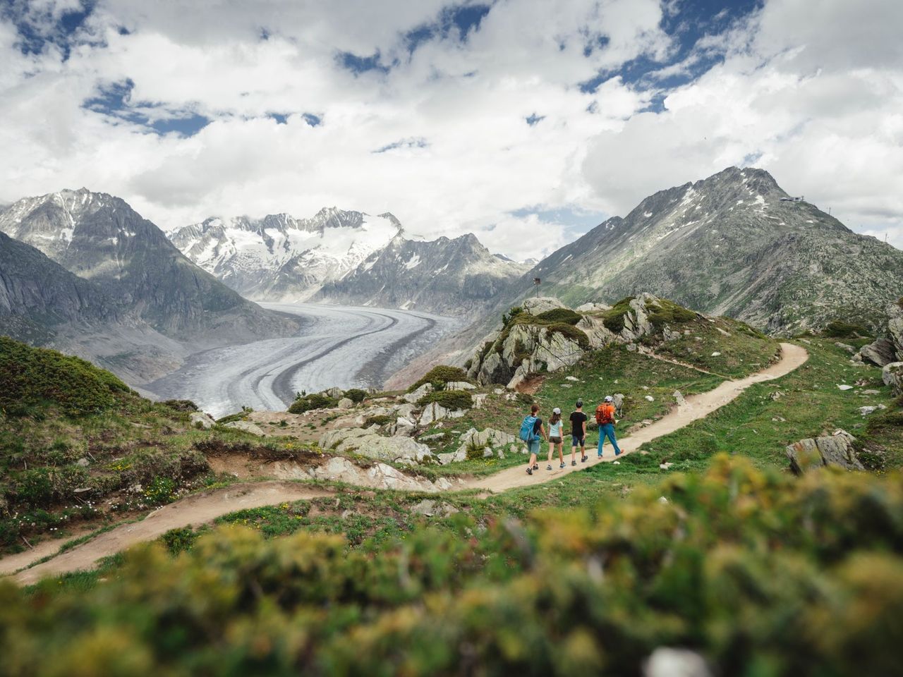 Ticket Riederalp mit Viewpoint Hohfluh/Moosfluh ab Mörel-Filet retour