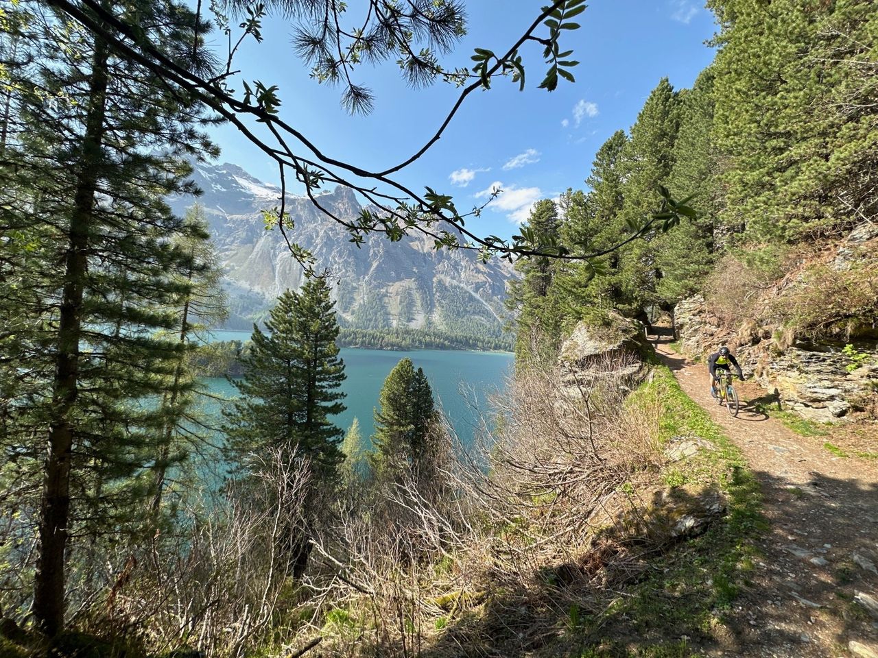 Biketour mit BBQ oder Picknick ab St. Moritz