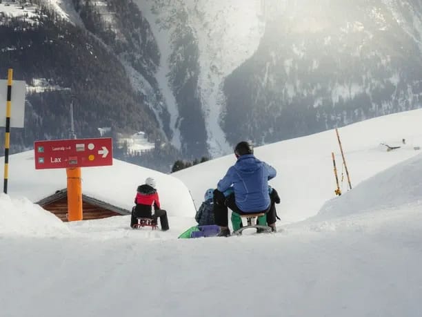 Fiescheralp–Lax Toboggan Pass with Sled Hire