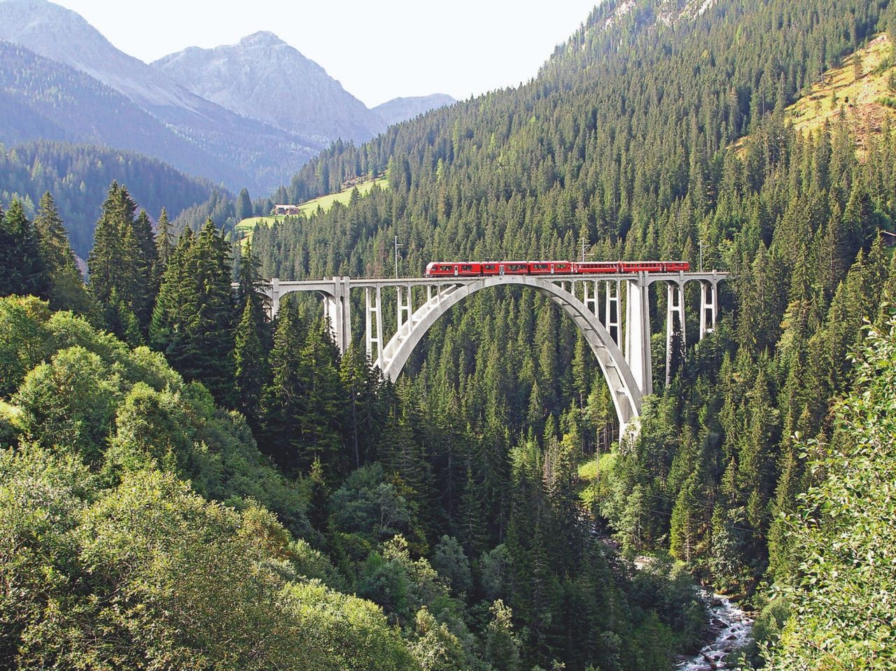 Private train trip to the Arosa Bear Land from Zurich