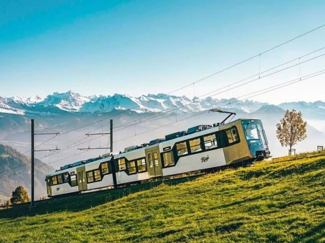 Ab Zürich: Mit Bahn, Schiff und Zahnradbahn in die Schweizer Alpen mit See und Rheinschlucht