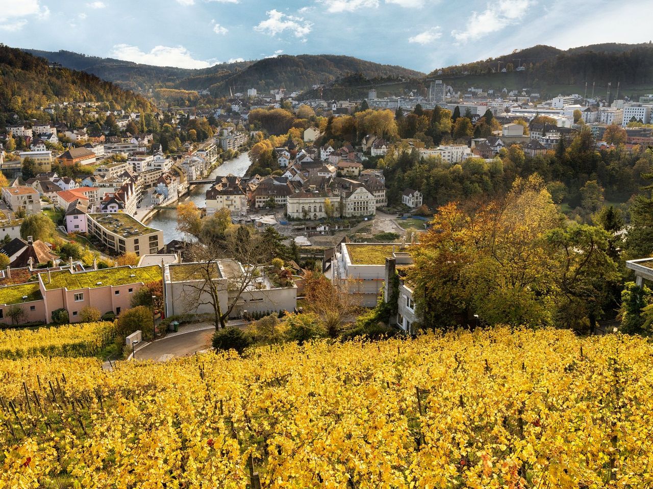 "WaldBaden" δημόσια περιήγηση στη φύση στο Baden