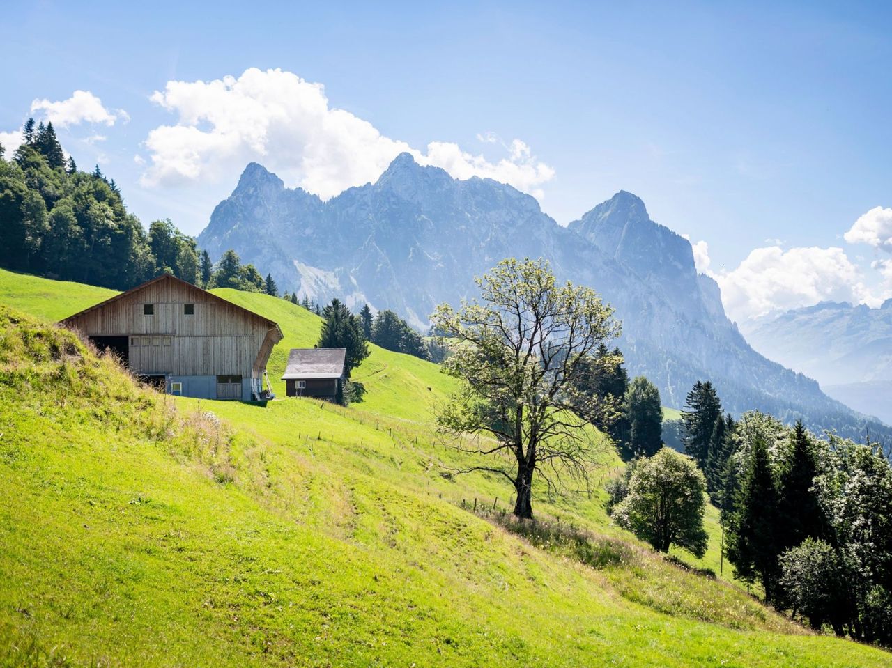 Ticket Drehgondelbahn Sattel-Mostelberg