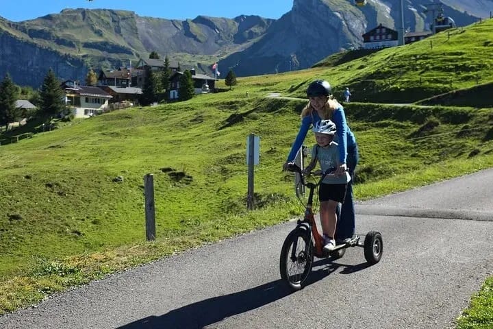 Ab Zürich: Private Familientour mit Monster Trottinett und Luzern
