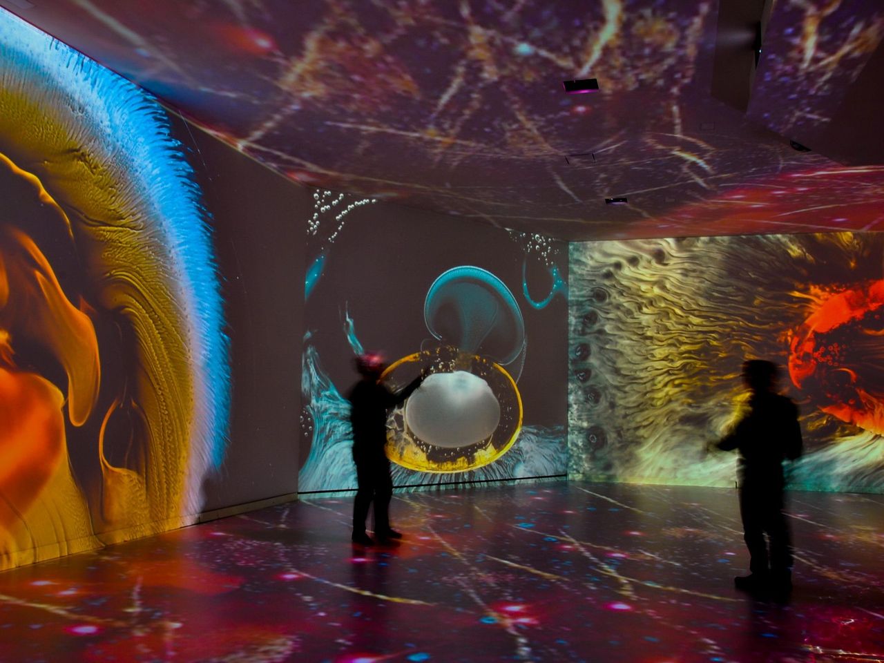 Ticket “Rhyality” immersive Ausstellung am Rheinfall