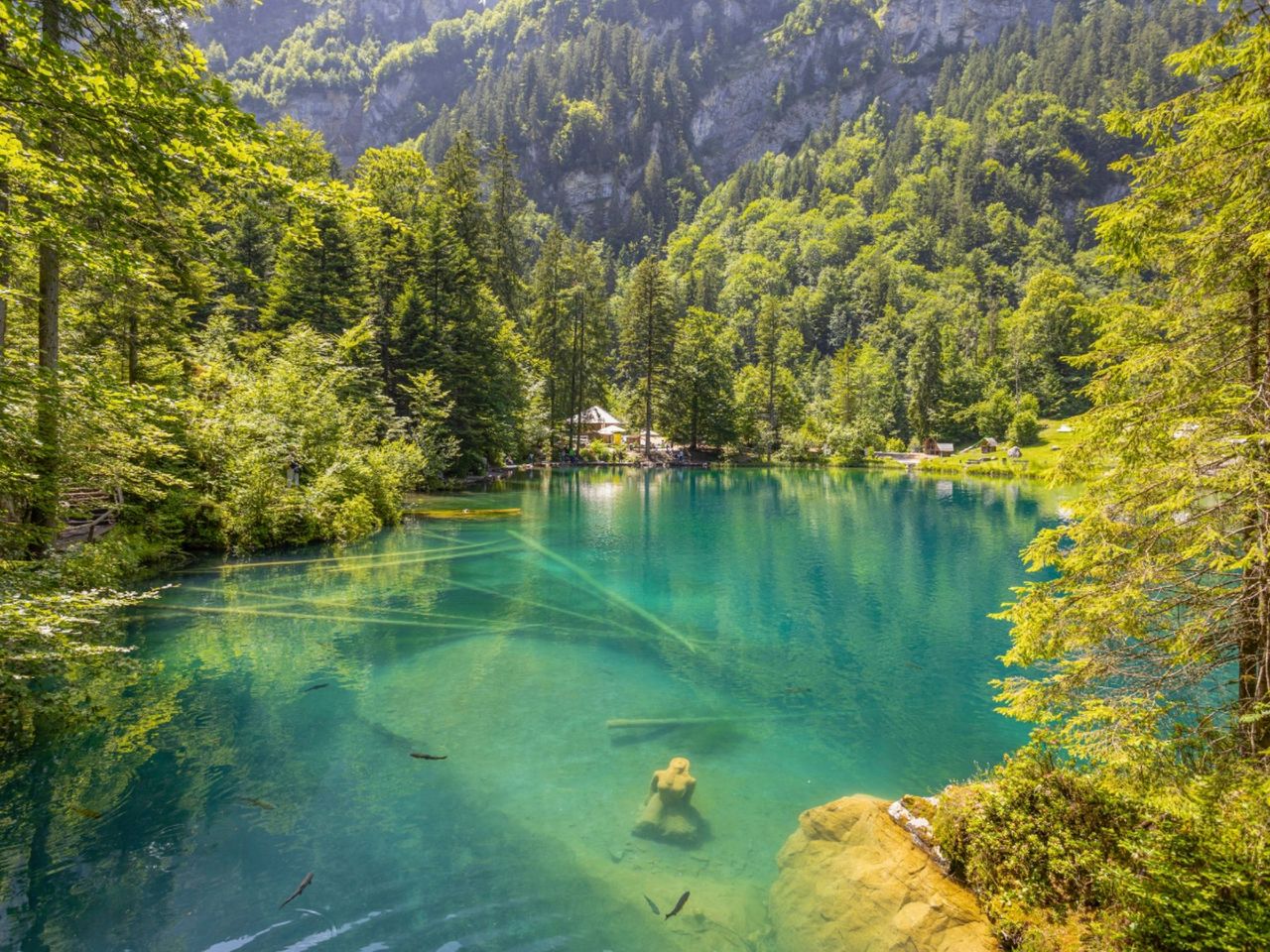 Ab Zürich: Blausee und Interlaken privater Tagesausflug