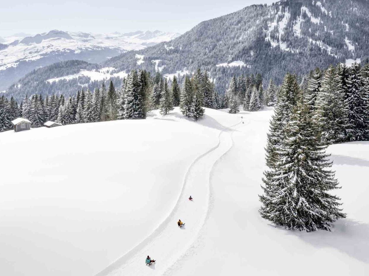 Laax Toboggan Ticket