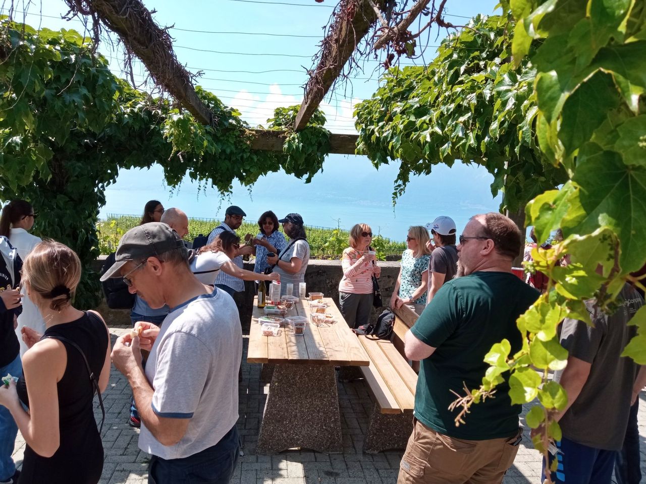 Ab Genf: Tagesausflug Weintour und Schloss Chillon