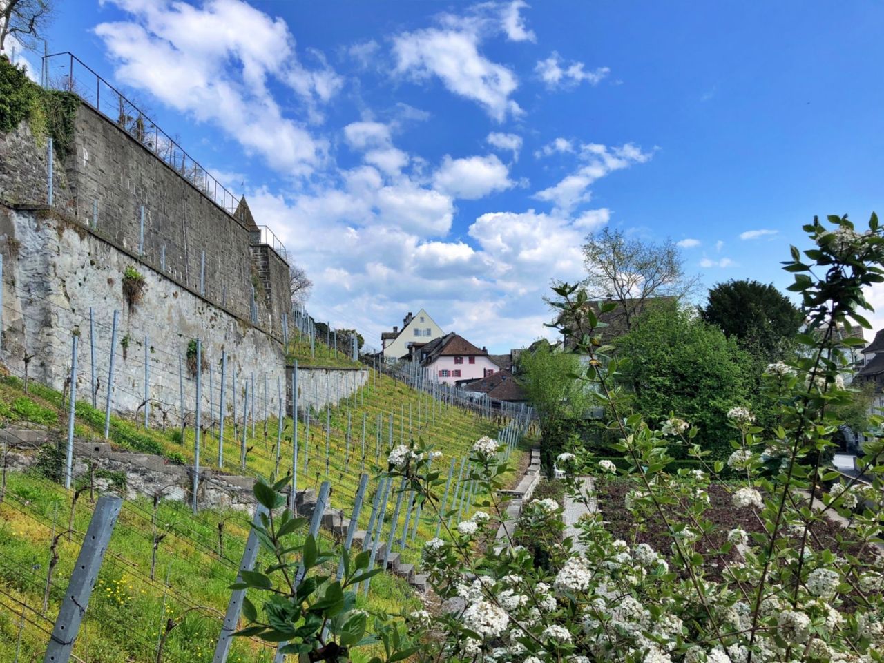 City Pass Rapperswil SG