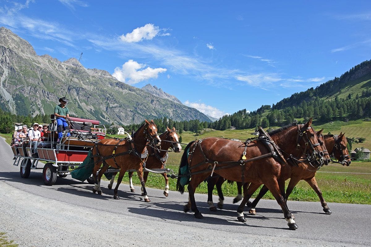 Kutschenfahrt Pferdeomnibus vom Fextal nach Sils