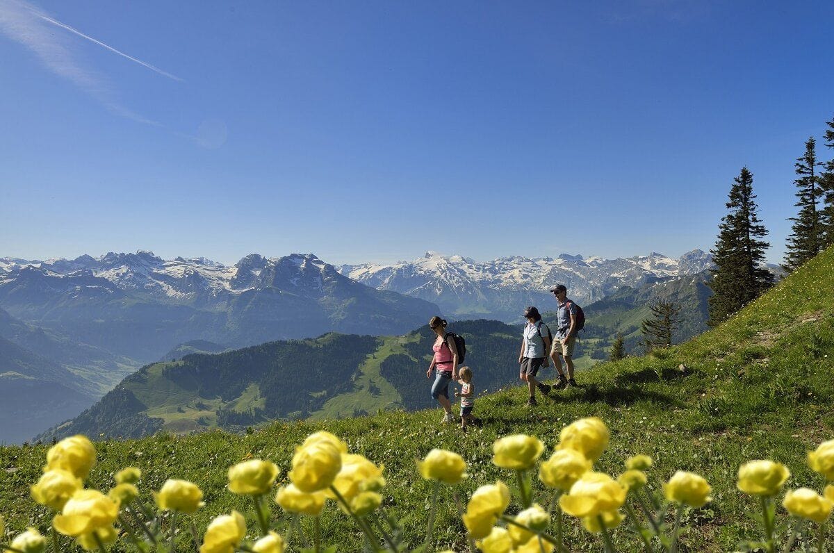Ab Zürich: Tagestour Stanserhorn inkl. Cabrio Seilbahn