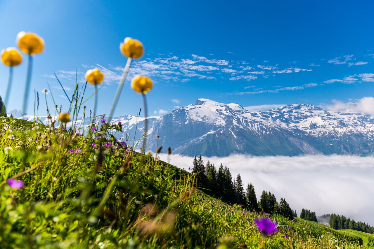 Geführte Wanderung über den Panoramaweg Brunni