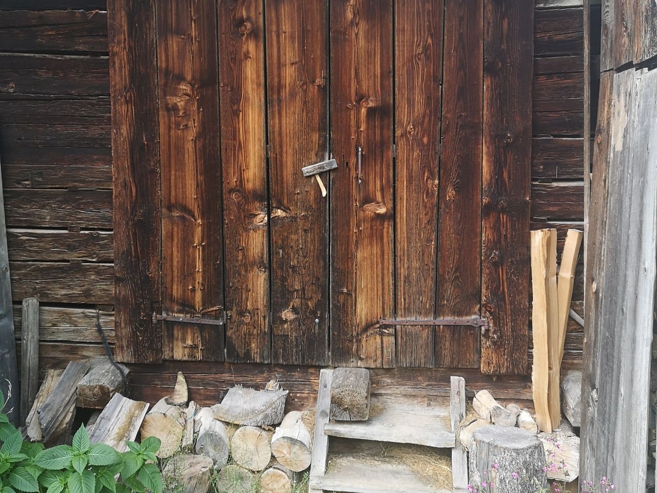 Traditionelles Alp Erlebnis in Adelboden