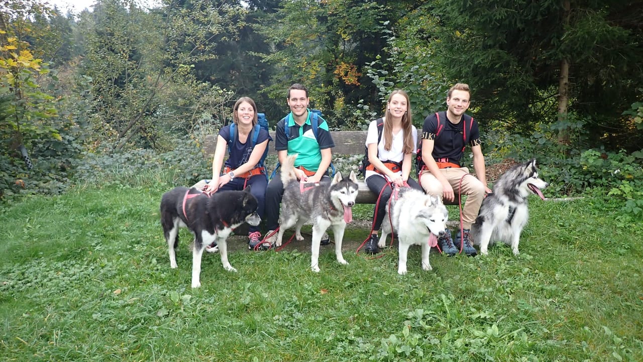 Husky Trekking with Fondue Experience in Ermenswil