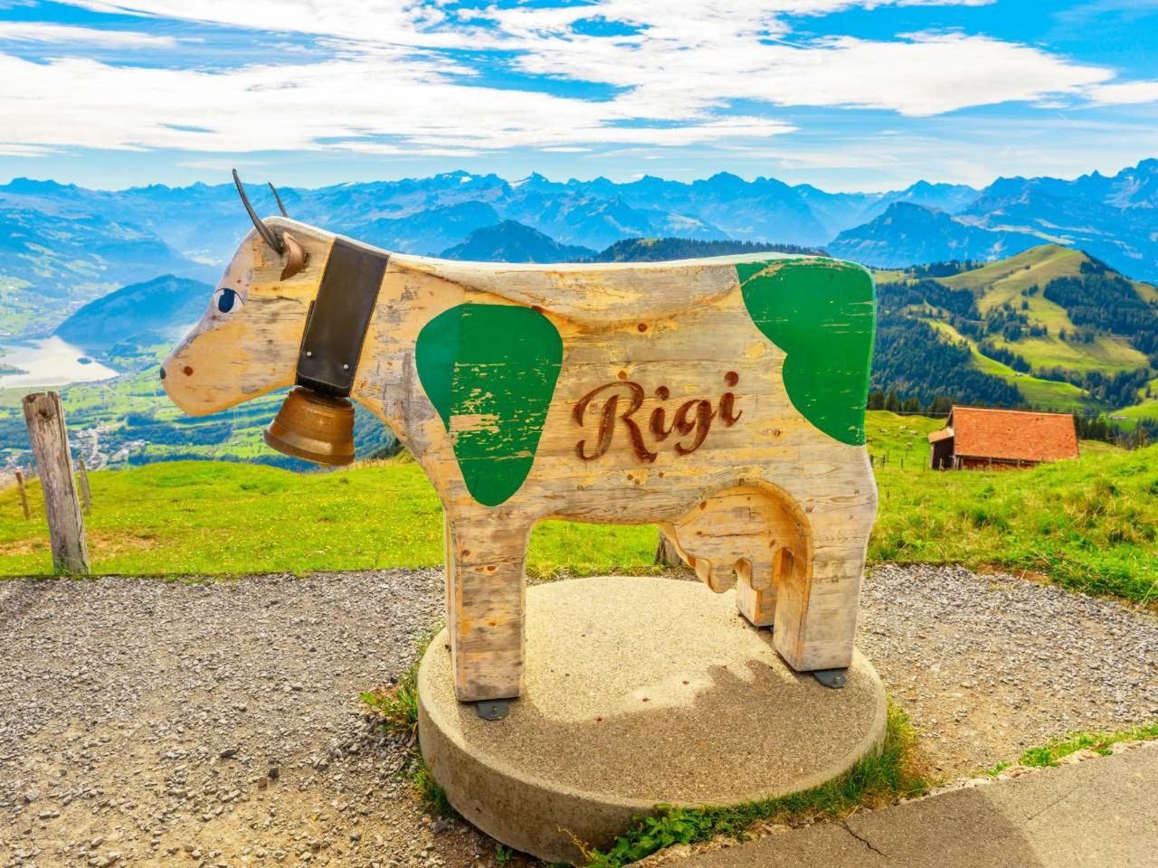 Ab Zürich: Private Tagestour auf die Rigi und nach Luzern