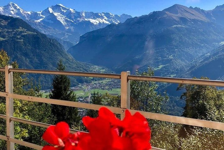 Ab Zürich: Privater Tagesausflug aufs Jungfraujoch mit Bahntickets
