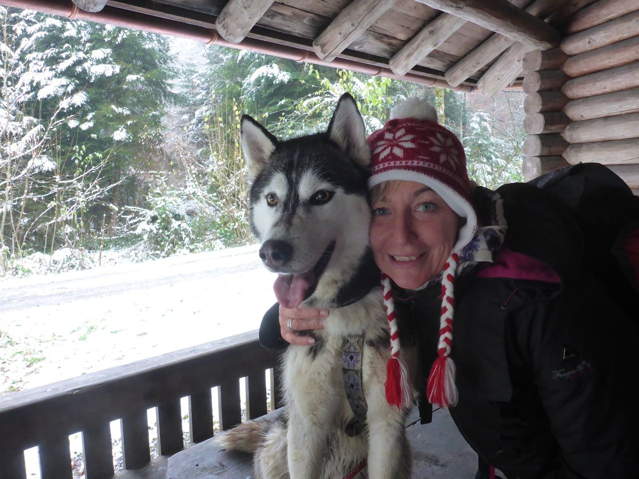 Husky Trekking with Fondue Experience in Ermenswil
