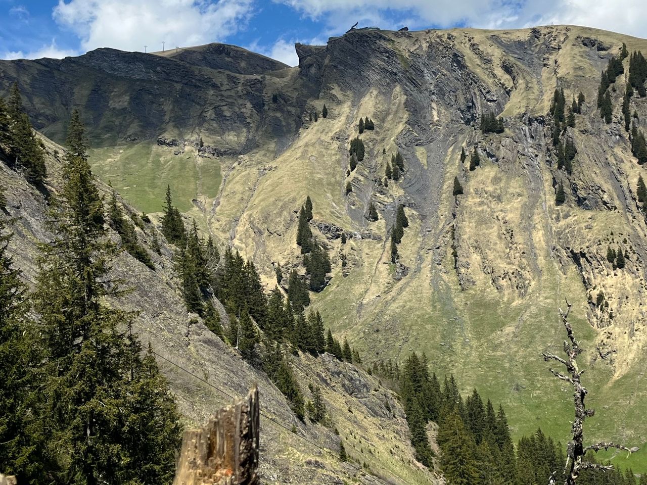 Grindelwald First und Bachalpsee private Wanderung mit einem Schweizer Triathleten ab Grindelwald